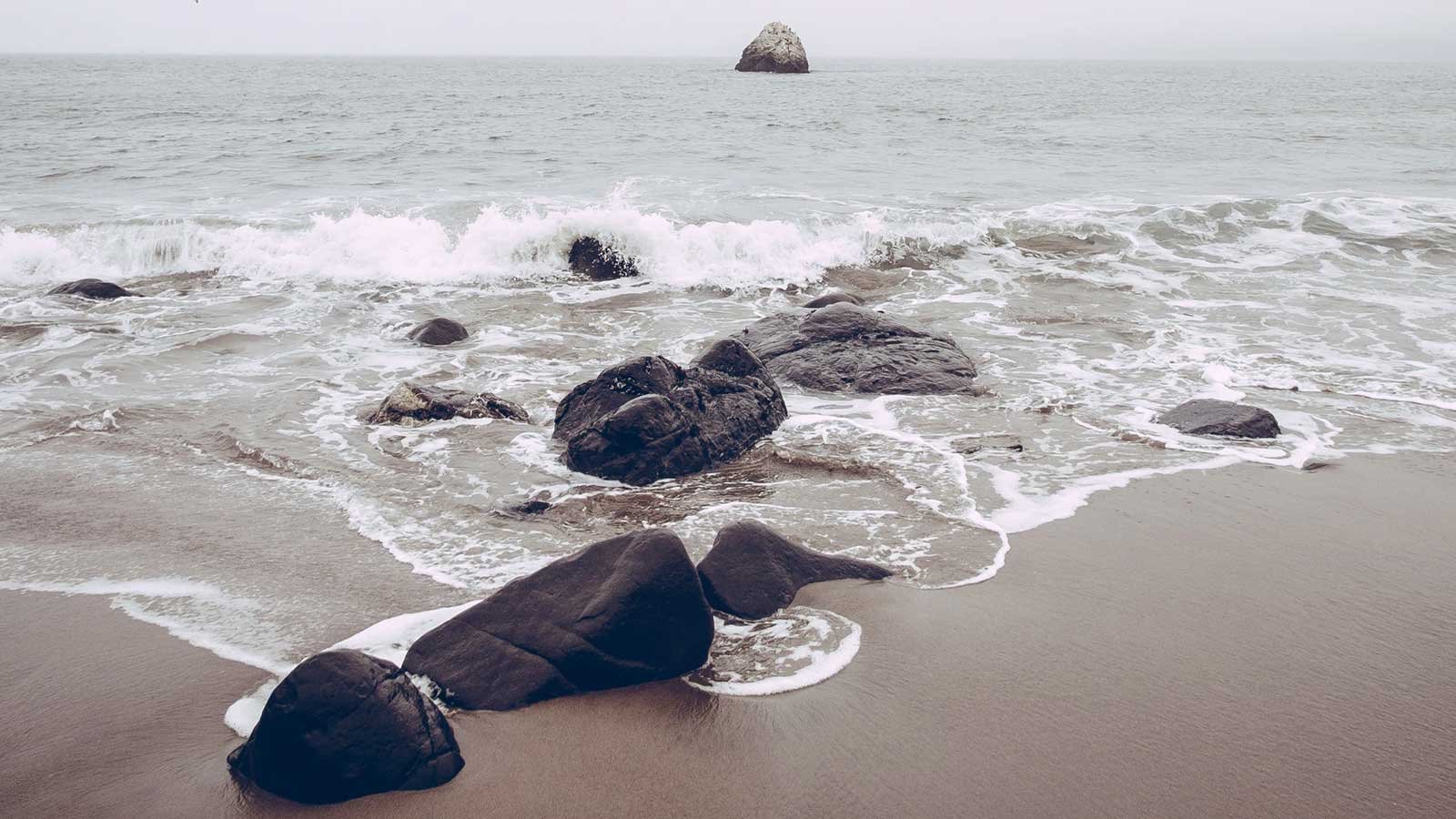 Zaproszenia ślubne mogą być spójne z otaczającą nas przyrodą.